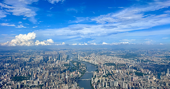 专业CN域名信息查询网站