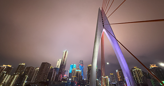 cn域名所有人查询