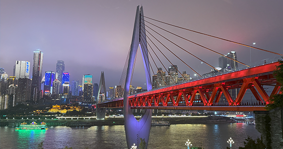 绍兴cn域名查询