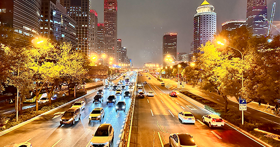 cn区域域名查询