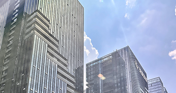 珠海cn域名信息查询